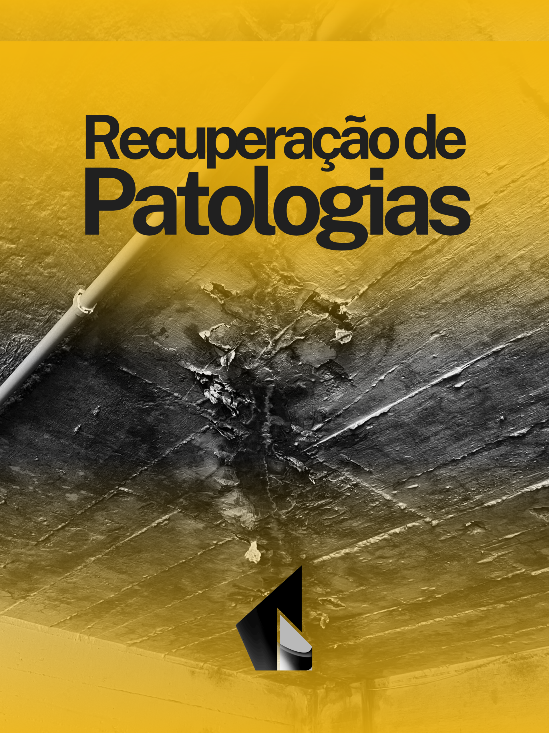 RECUPERAÇÃO DE PATOLOGIAS